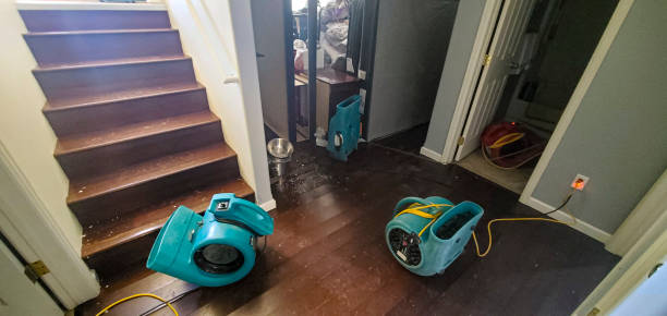  Ferndale, MI Water damage restoration Pros