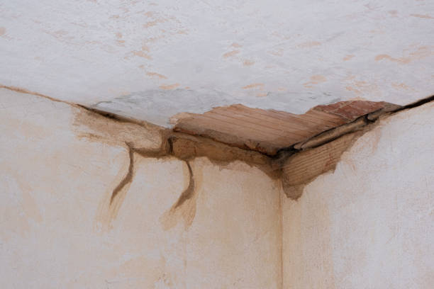 Best Commercial water damage restoration  in Ferndale, MI