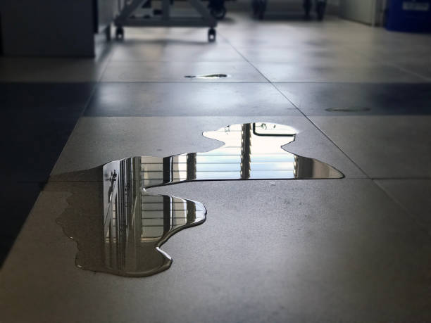 Best 24/7 water damage repair  in Ferndale, MI