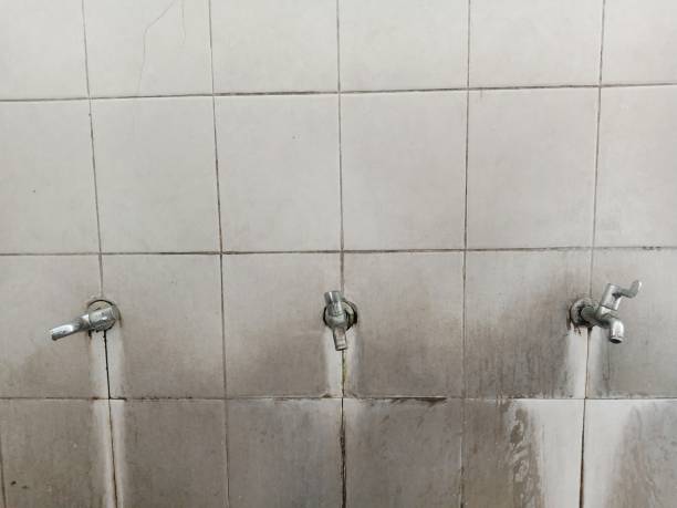 Best Water damage restoration near me  in Ferndale, MI