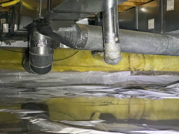 Best Water damage restoration near me  in Ferndale, MI