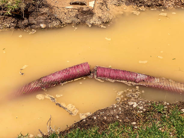 Reliable Ferndale, MI Water damage restoration Solutions